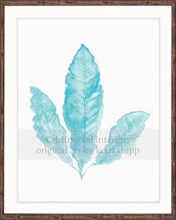 Sea Fan II in Turquoise