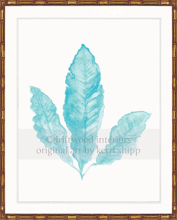 Sea Fan II in Turquoise