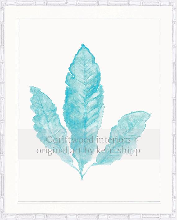 Sea Fan II in Turquoise