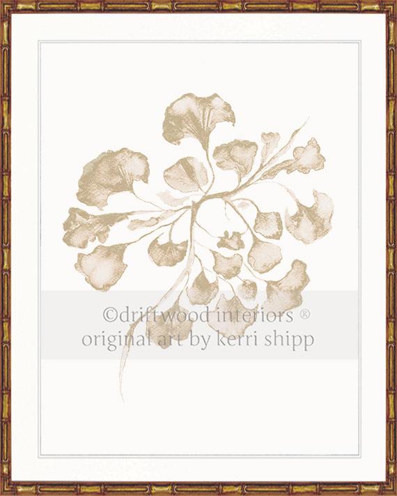 Sea Fan IV in Natural