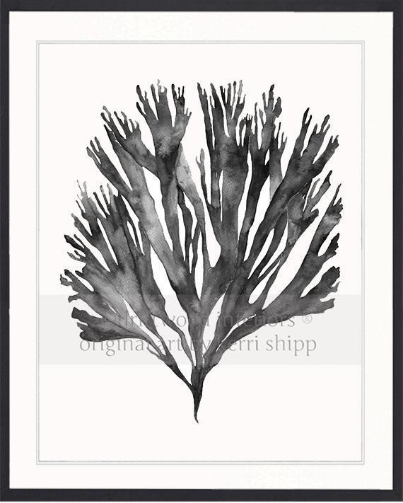 Sea Fan V in Charcoal - Driftwood Interiors