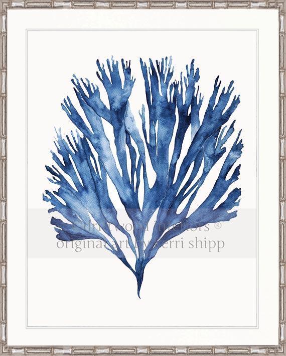 Sea Fan V in Denim - Driftwood Interiors