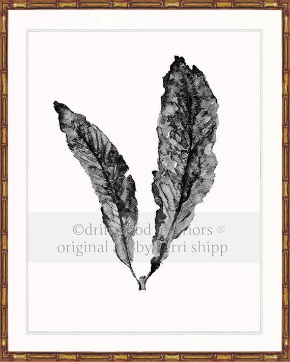 Sea Fan in Charcoal - Driftwood Interiors