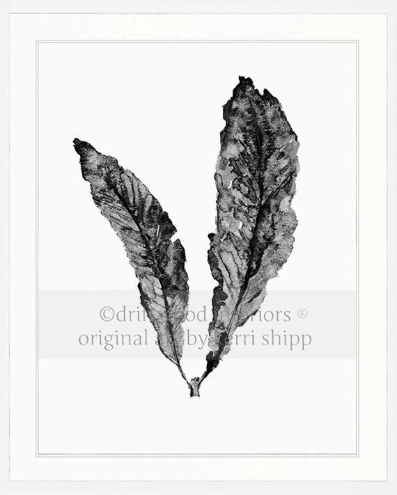 Sea Fan in Charcoal - Driftwood Interiors