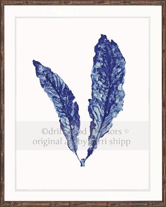 Sea Fan in Denim - Driftwood Interiors