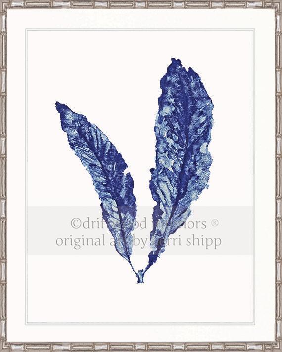 Sea Fan in Denim - Driftwood Interiors