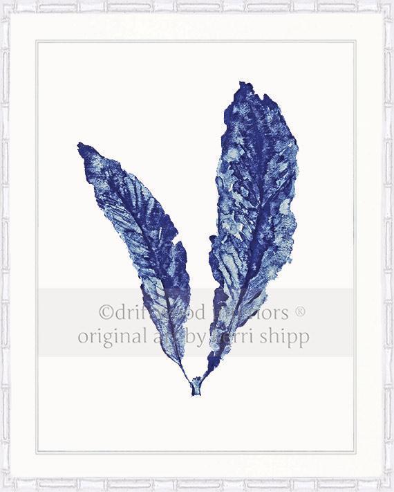 Sea Fan in Denim - Driftwood Interiors