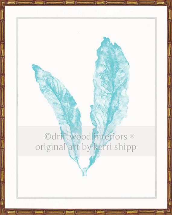 Sea Fan in Turquoise