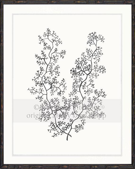 Sea Fern II in Charcoal - Driftwood Interiors