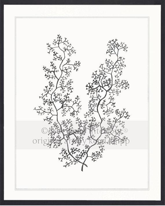 Sea Fern II in Charcoal - Driftwood Interiors