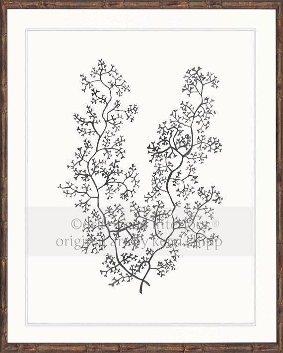 Sea Fern II in Charcoal - Driftwood Interiors