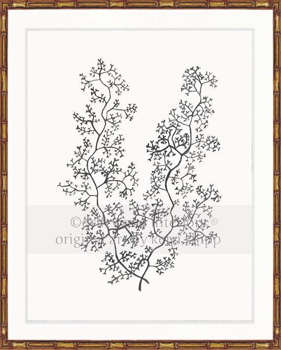 Sea Fern II in Charcoal - Driftwood Interiors