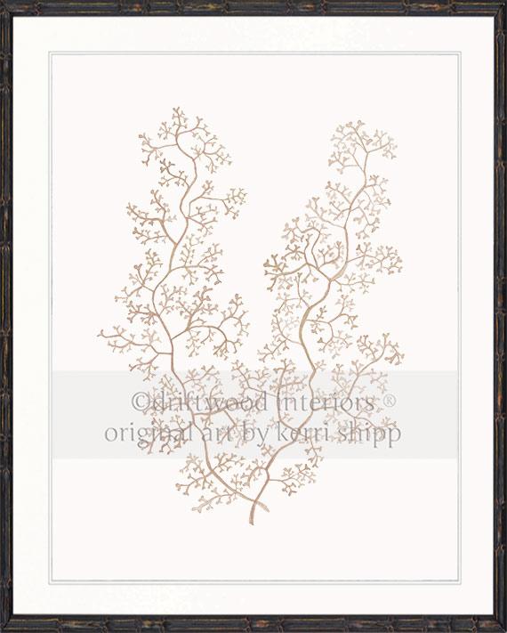 Sea Fern II in Natural