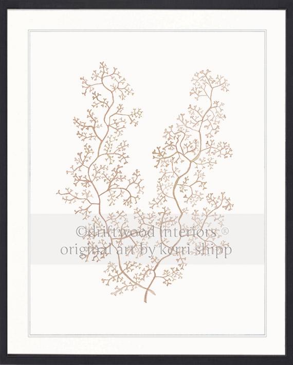 Sea Fern II in Natural