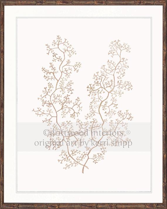 Sea Fern II in Natural