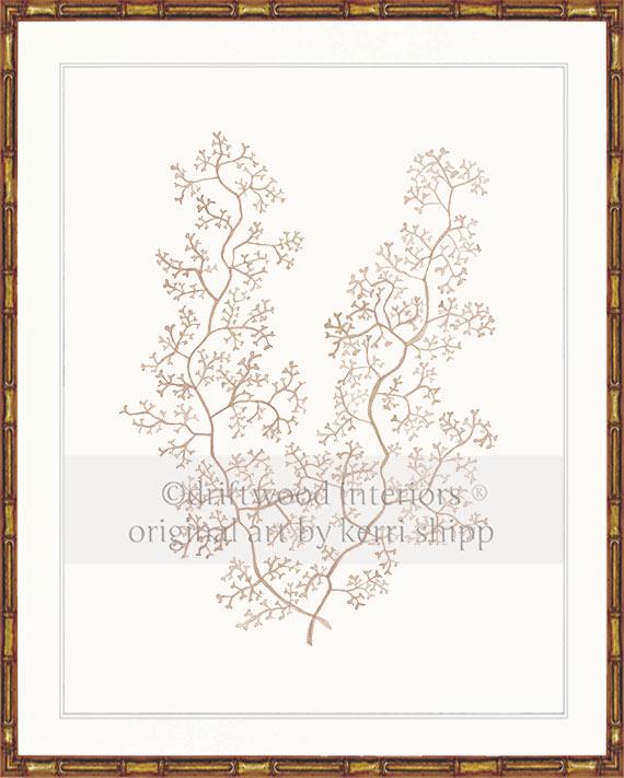 Sea Fern II in Natural