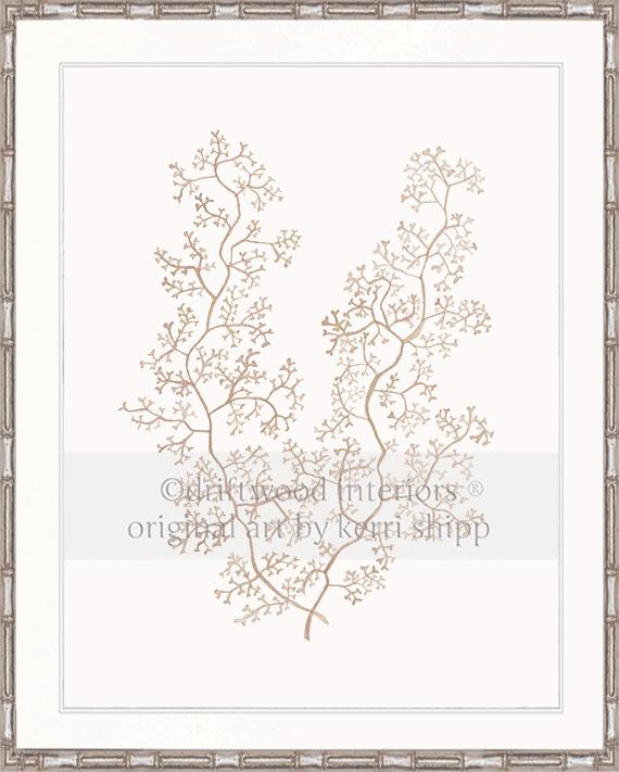 Sea Fern II in Natural