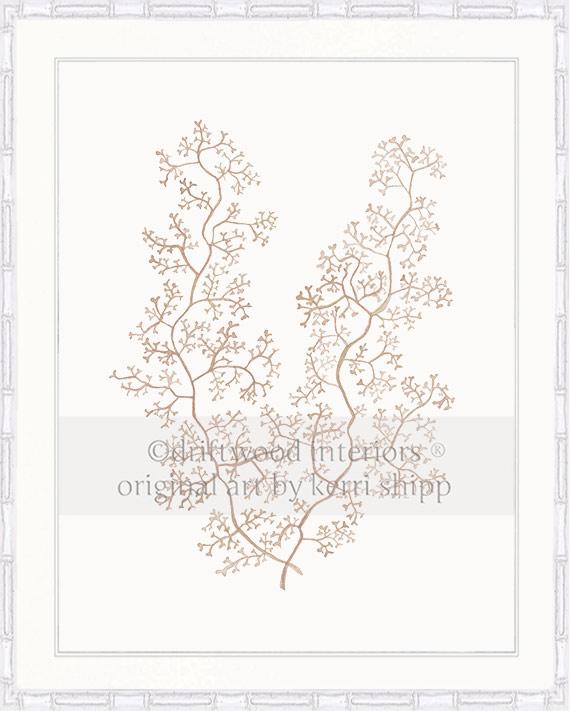 Sea Fern II in Natural