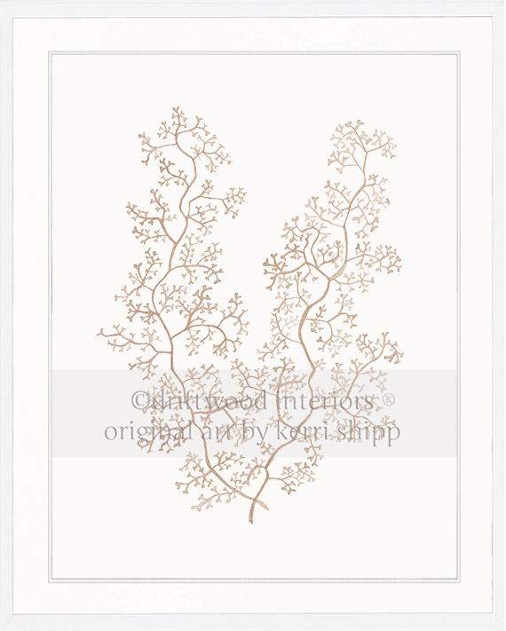 Sea Fern II in Natural