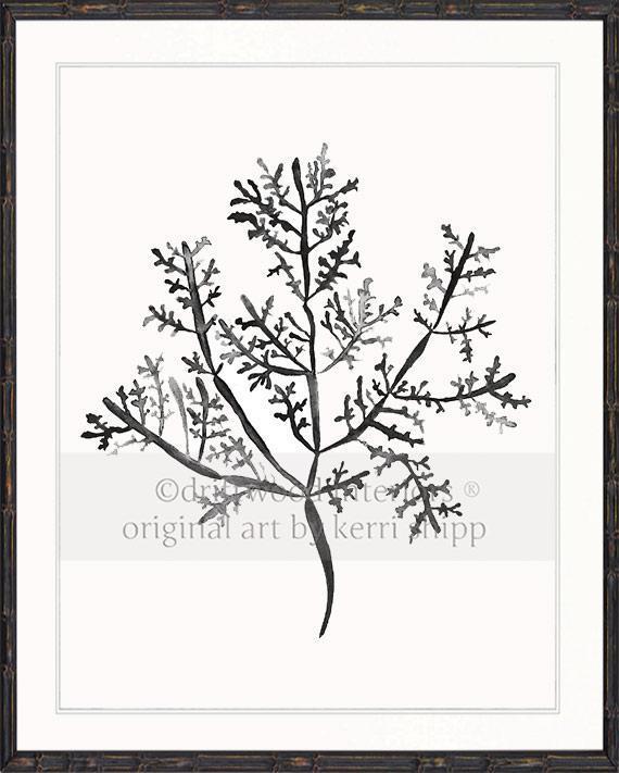Sea Fern III in Charcoal - Driftwood Interiors