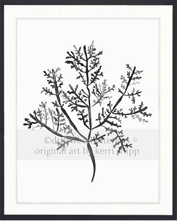 Sea Fern III in Charcoal - Driftwood Interiors