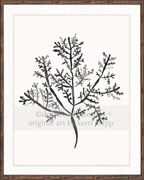 Sea Fern III in Charcoal - Driftwood Interiors