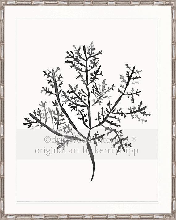 Sea Fern III in Charcoal - Driftwood Interiors