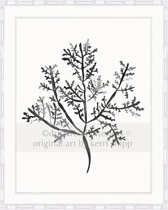 Sea Fern III in Charcoal - Driftwood Interiors