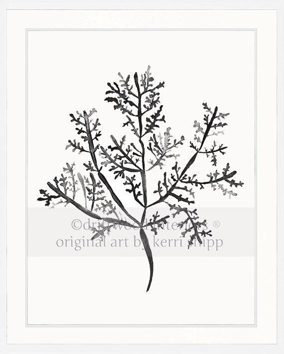 Sea Fern III in Charcoal - Driftwood Interiors