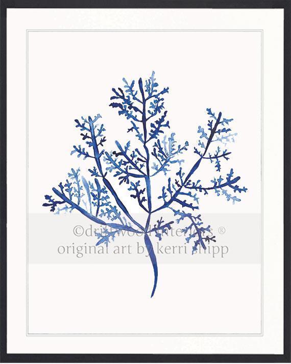 Sea Fern III in Denim - Driftwood Interiors