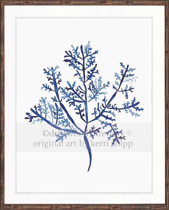 Sea Fern III in Denim - Driftwood Interiors