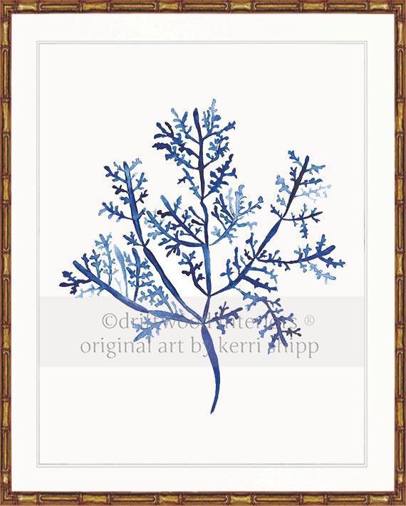 Sea Fern III in Denim - Driftwood Interiors