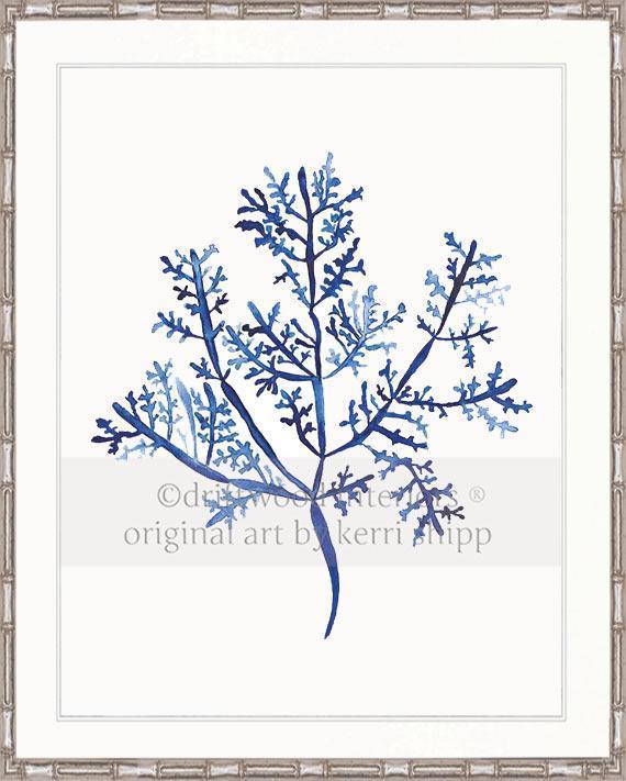 Sea Fern III in Denim - Driftwood Interiors