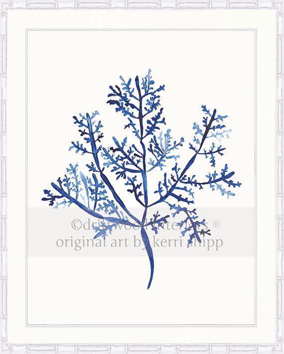 Sea Fern III in Denim - Driftwood Interiors