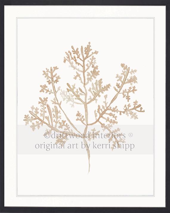 Sea Fern III in Natural