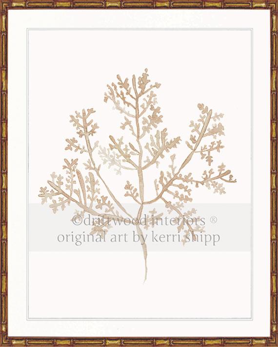 Sea Fern III in Natural