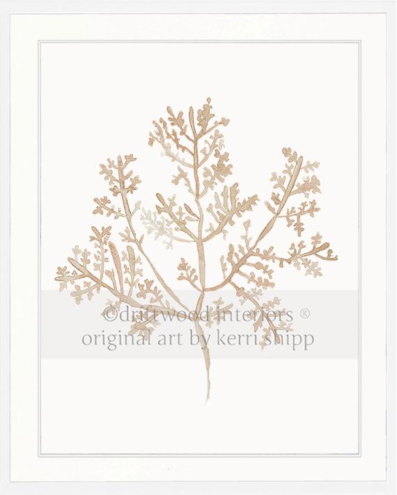 Sea Fern III in Natural