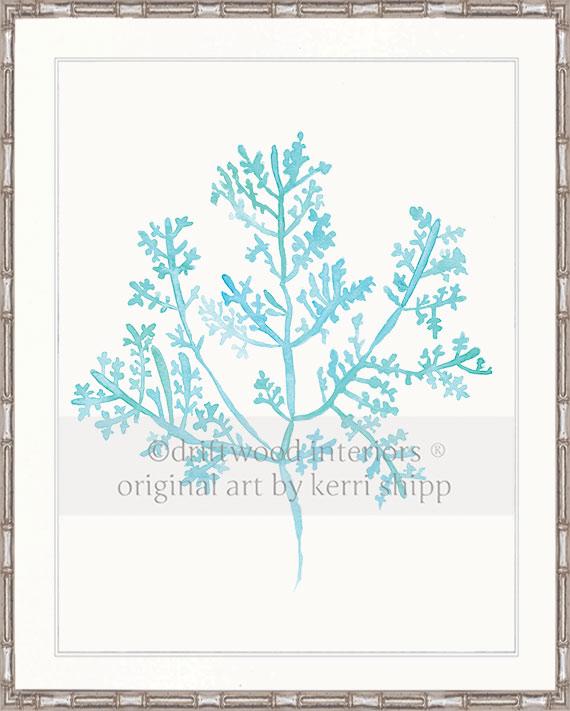 Sea Fern III in Turquoise