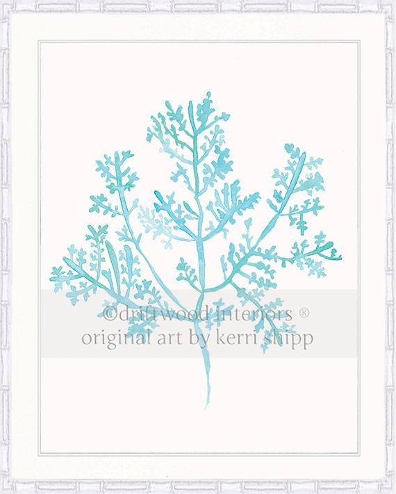 Sea Fern III in Turquoise