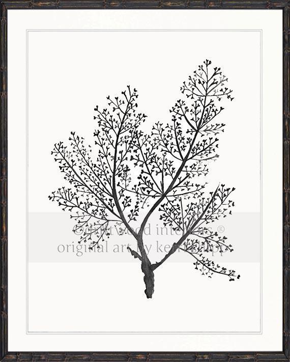 Sea Fern in Charcoal - Driftwood Interiors