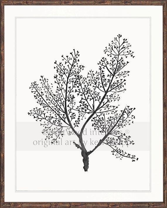 Sea Fern in Charcoal - Driftwood Interiors