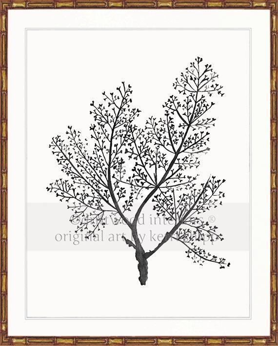 Sea Fern in Charcoal - Driftwood Interiors