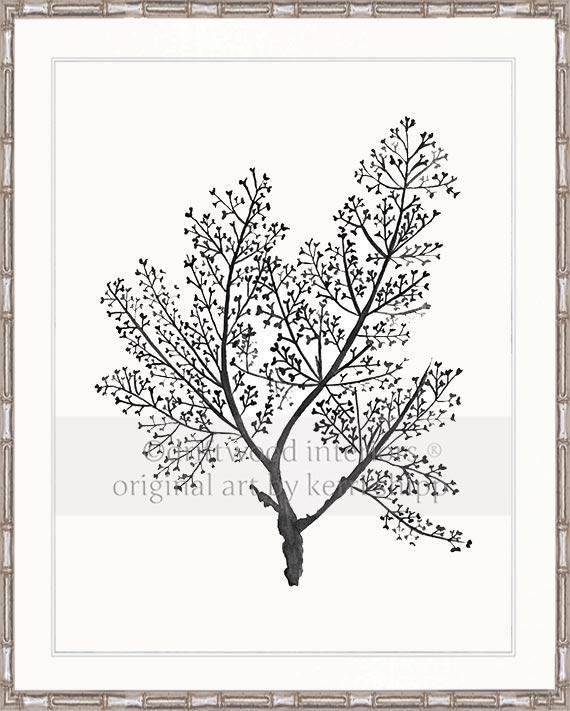 Sea Fern in Charcoal - Driftwood Interiors