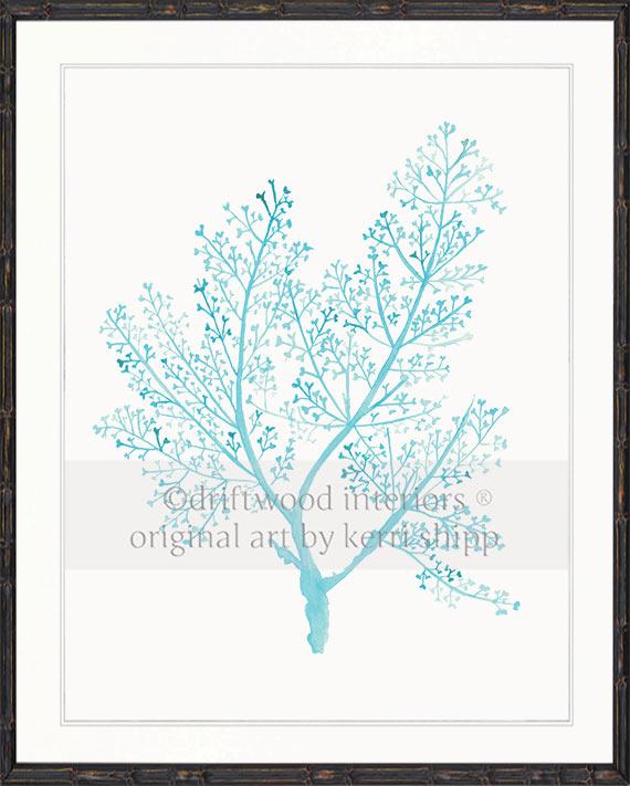 Sea Fern in Turquoise