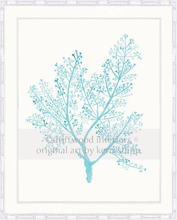 Sea Fern in Turquoise