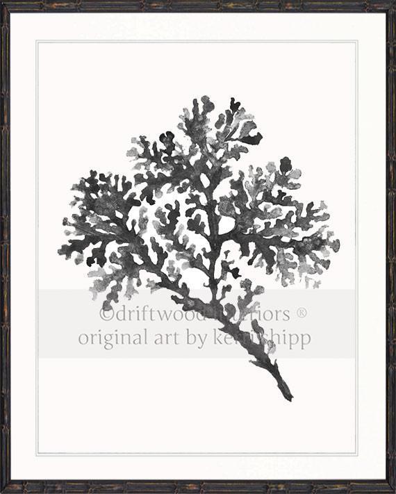 Seagrass in Charcoal - Driftwood Interiors