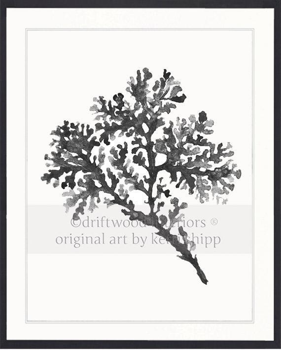 Seagrass in Charcoal - Driftwood Interiors