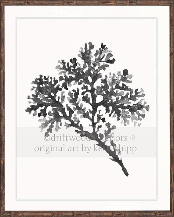 Seagrass in Charcoal - Driftwood Interiors