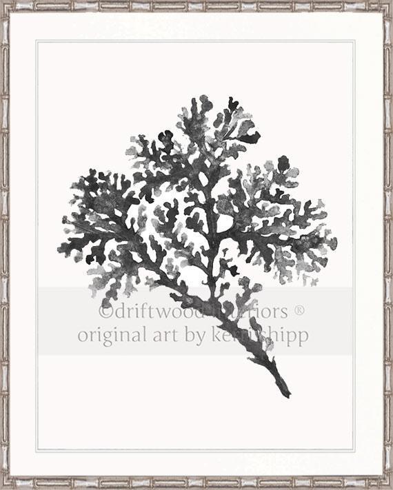 Seagrass in Charcoal - Driftwood Interiors