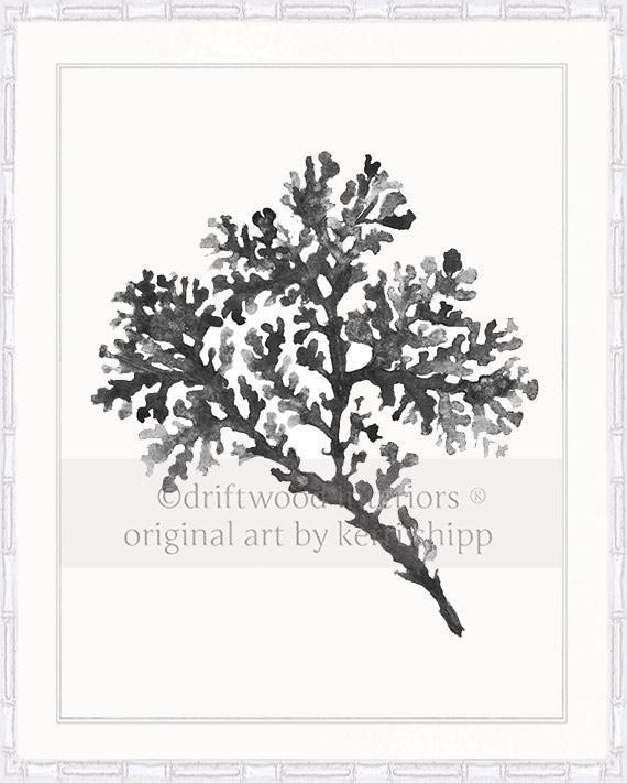 Seagrass in Charcoal - Driftwood Interiors